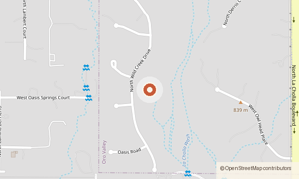 Mapa de 10148 N. Wild Creek Drive